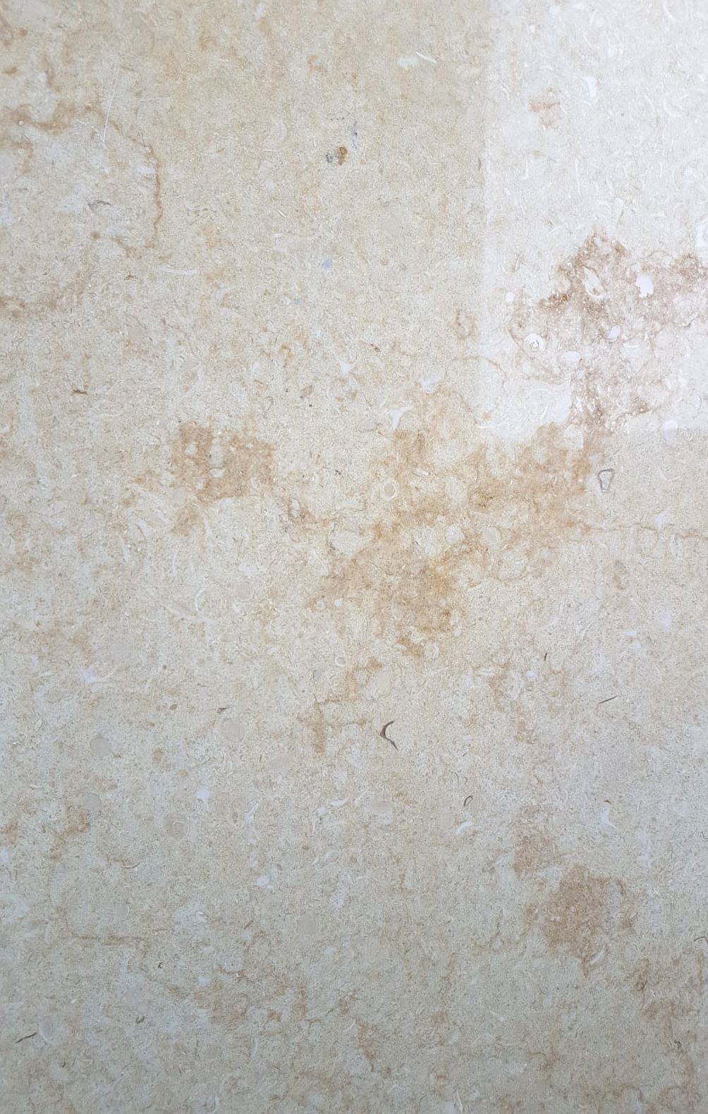 SET Treaptă + Contratreaptă Marmură Cross Cut Lustruit 130 x 32/130 x 16/2cm